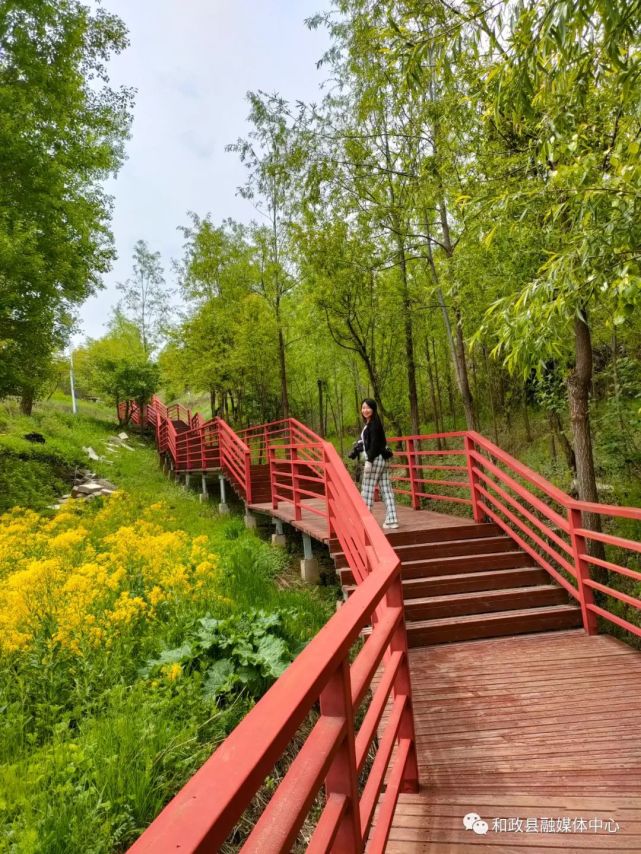 华丰庄园:乡村旅游为乡村振兴再添新活力