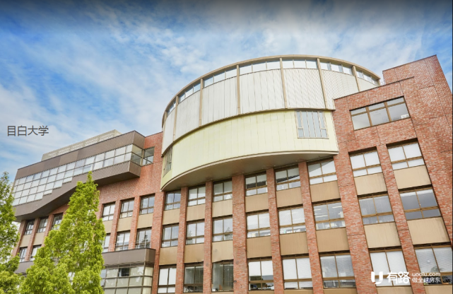 测评这种类型的房子为什么遭到疯抢