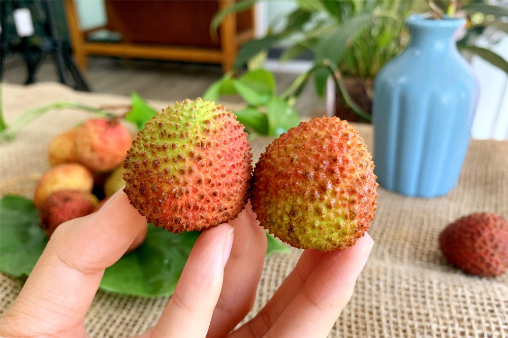 买荔枝时,选"尖头还是圆头"的?选对了肉厚核小,可真甜呀