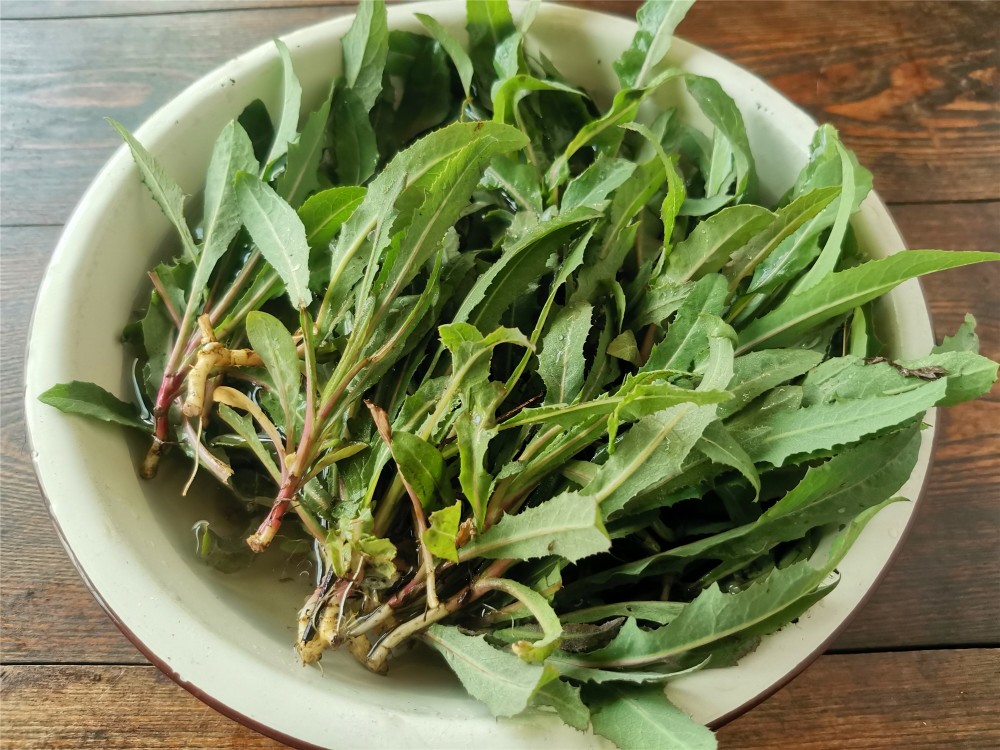 荠菜生长在山坡,田边及路旁,可以生吃,炒食,做汤,包子馅或者饺子馅.