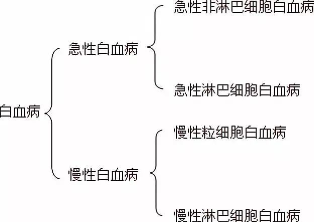 白血病是由於造血系統中某一系列細胞的異常腫瘤性增生,並在骨髓,肝