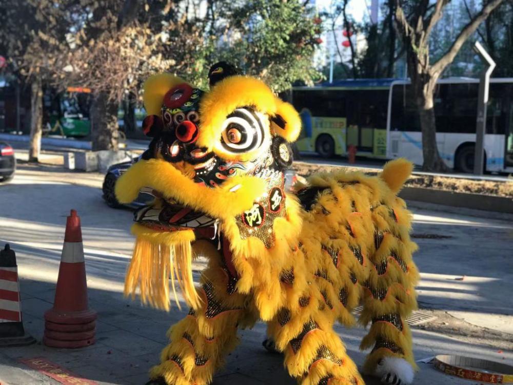 独家醒狮文化受关注年轻人成文化传承中坚力量