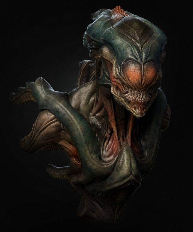 距衍文化传媒年度大作异形章鲨开机啦