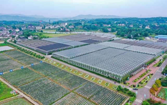 泸州智慧农业助力乡村振兴