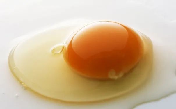 "胆固醇排行榜"已公布,鸡蛋黄排第5,看看这些你都喜欢吃吗?