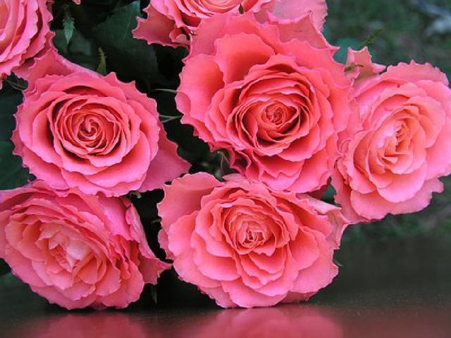 人见人爱的个性签名情文并茂含义深刻