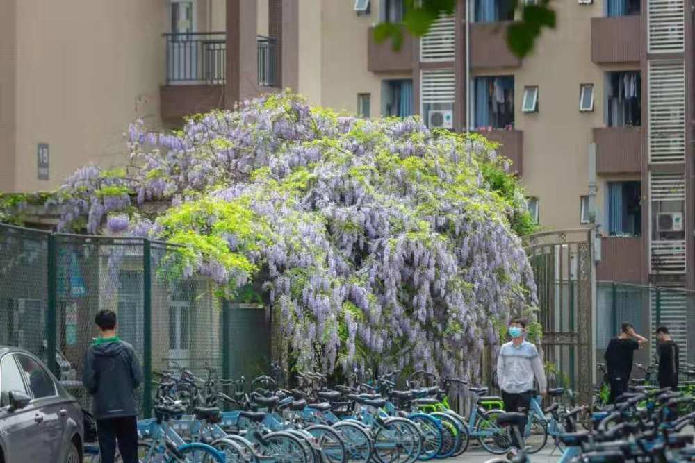 电子科技大学怎么样,电子科技大学怎么样好不好