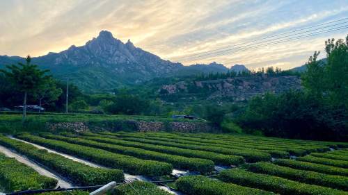 崂山庙石村图片图片