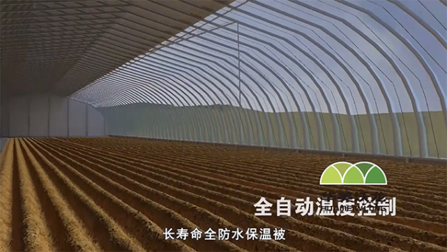 现代农业产业园日光温室科技大棚设计搭建 首要看储热图2