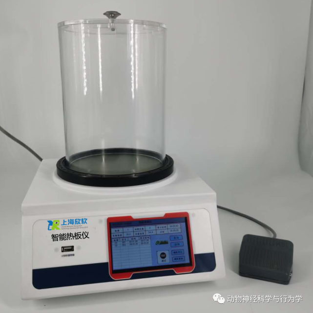 动物热板实验hotplate的测试方法与注意事项