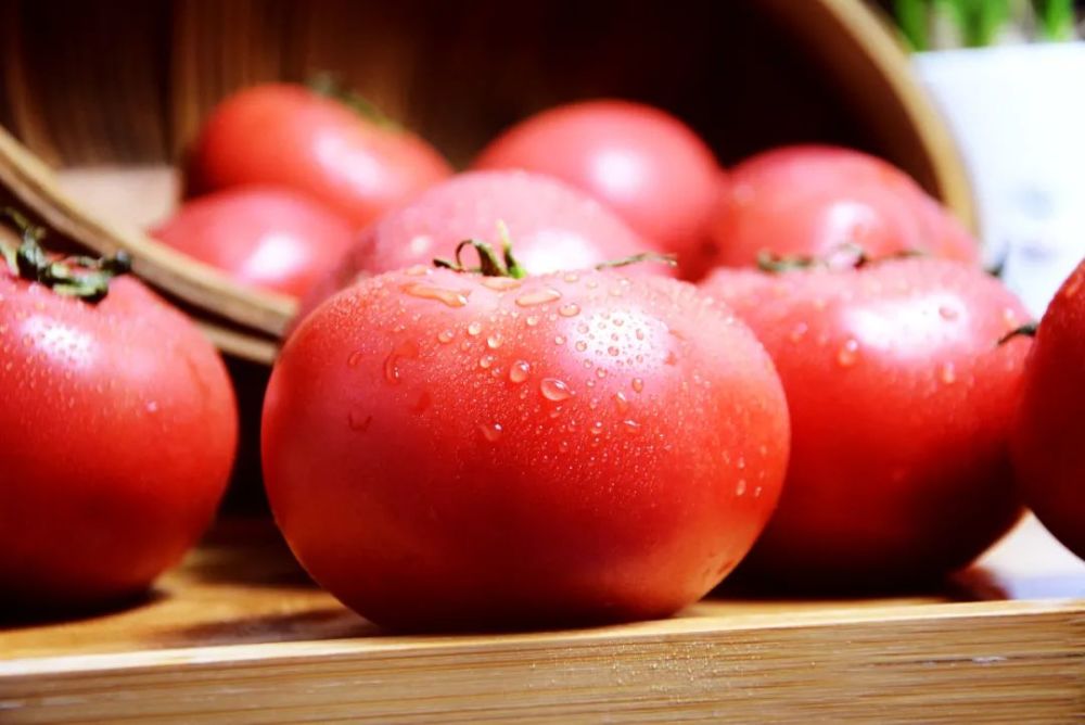 新疆番茄该火了