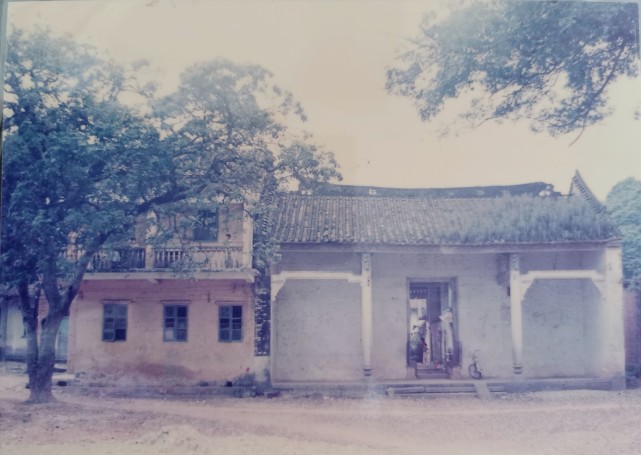 百年老校新活力 广州市黄埔区光远小学 红棉立品 光远立人 广州市白云区 小学 光远 王雪辉 光远小学 黄埔区