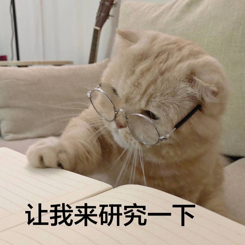 无敌可爱猫猫表情包游戏比我重要对不对