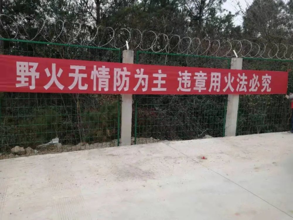 肥城街头消防标语图片