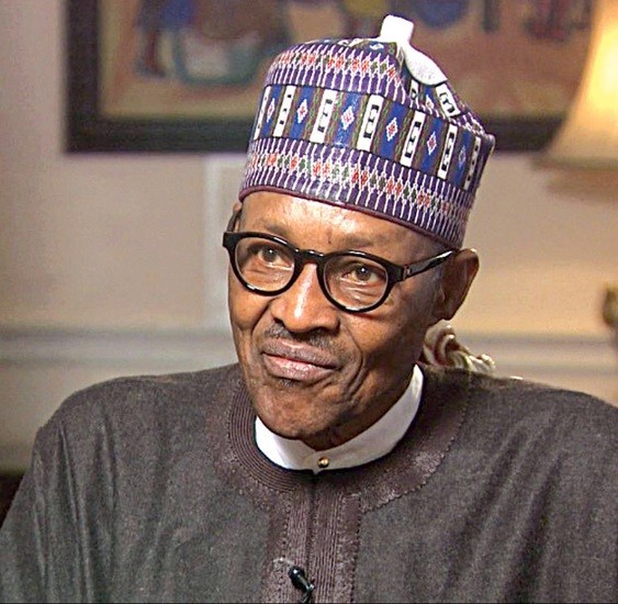 他1966年毕业于牛津大学法学院,曾在伦敦金融界工作,回到尼日利亚后