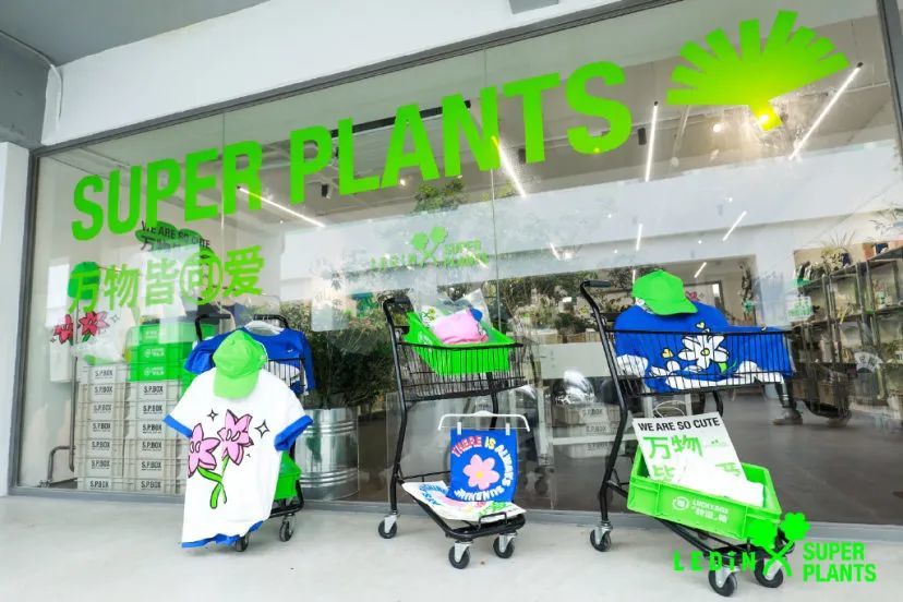 宝藏品牌超级植物公司为什么火了