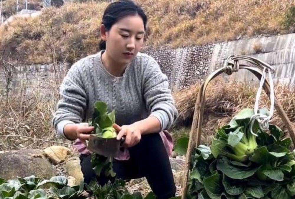 鄉愁沈丹離異女人獨自帶娃到坐擁千畝茶山她究竟如何蛻變的