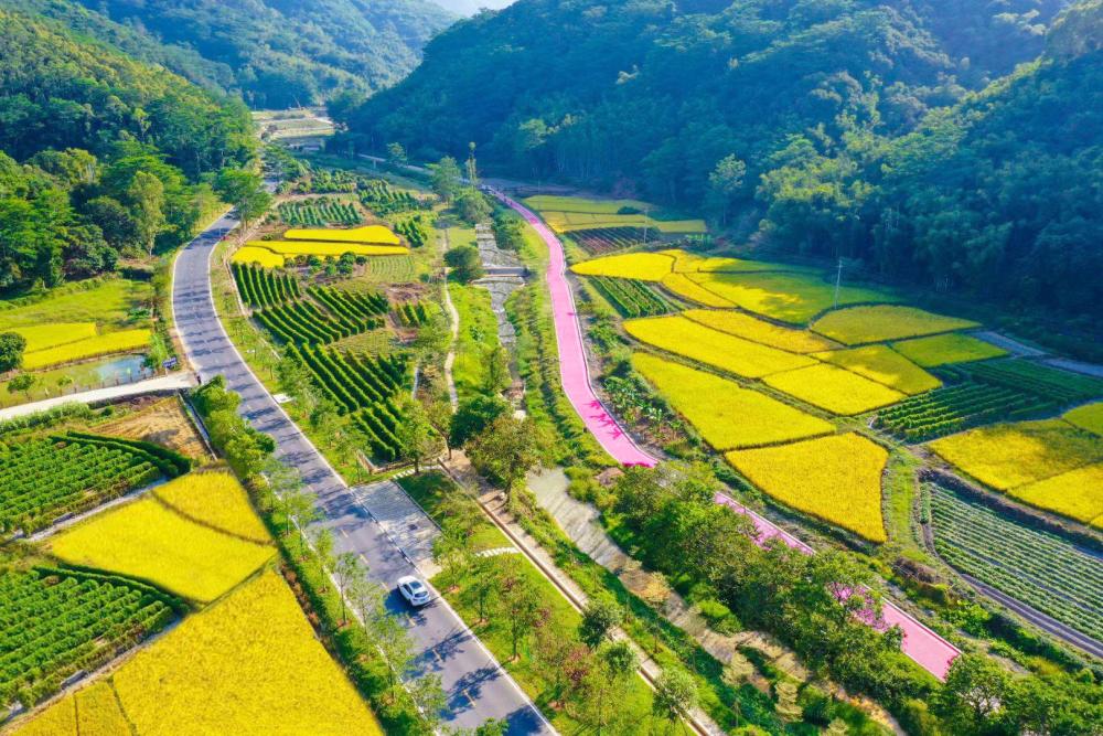 例如,增城區小樓鎮鄧山村充分運用創新發展和綠色發展新理念,把貧困