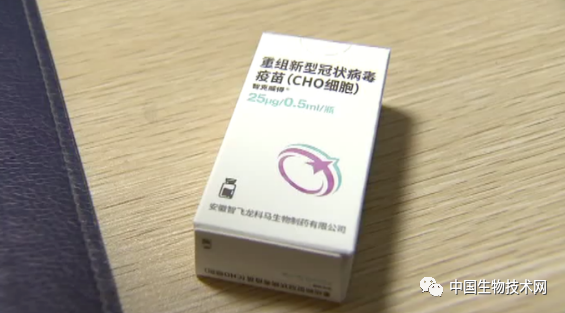 中科院微生物所研发的新冠重组蛋白疫苗在北京正式开打!