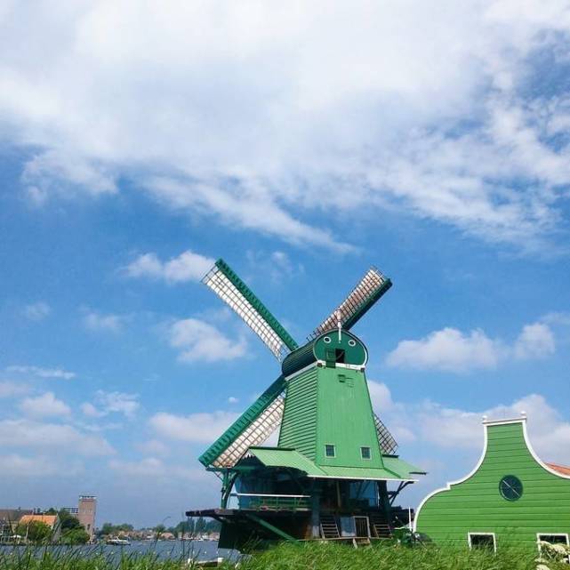 国际驾照iaa体验荷兰夏天的风