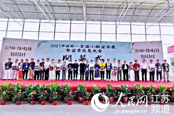 盆景排行_读“中国盆景在世界盆景中的痕迹”一文所想到