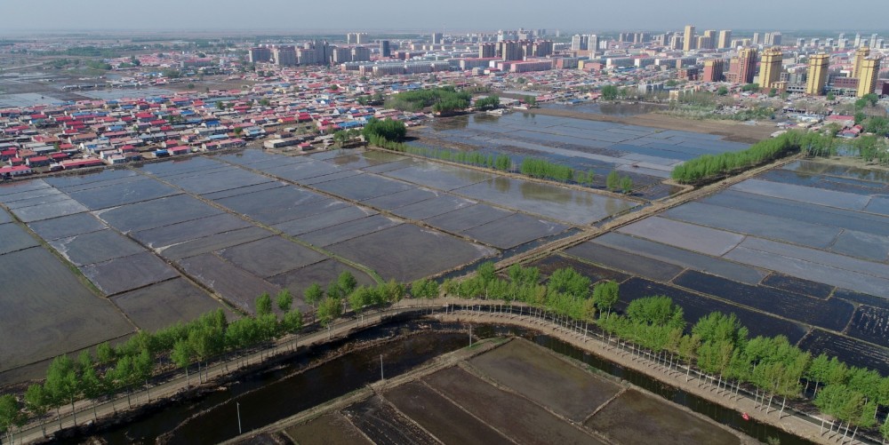松花江上·百年印记|肇源三岔河:拥抱松花江_腾讯新闻