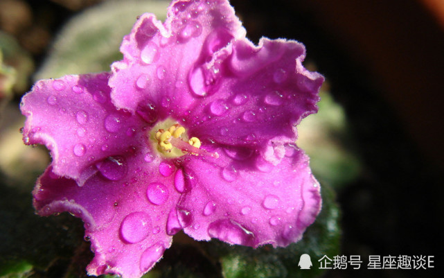 6月1日 30日星座运势 金牛多谋善断 天蝎量力而为 水瓶头脑清醒 天蝎座 星座运势 金牛座