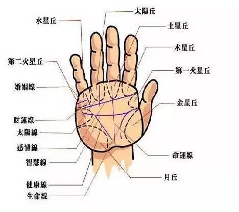 断掌纹的优点拥有断掌纹的人因为婚姻线和智慧线重叠一起,所以具备