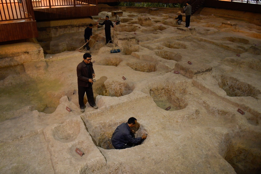"卫星图片显示,浙江省浦江县上山遗址附近种植的早稻,正旺盛生长.