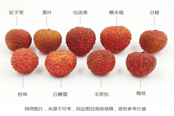 关于夏天的知识:在湖南,我们应该怎么买荔枝?