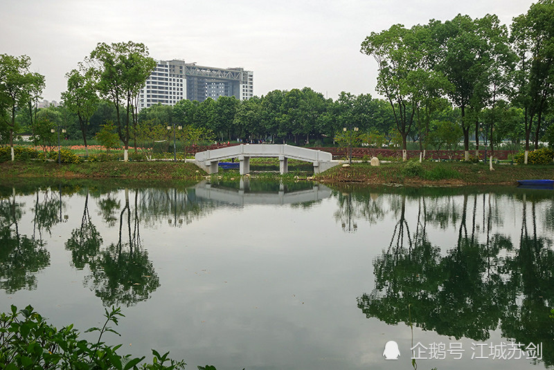 以水生植物為主的自然生態郊野型溼地公園武漢金銀湖公園印象