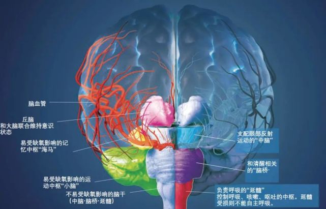 生死之界丨植物人有意识吗?