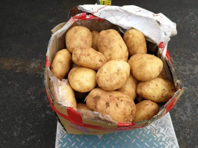 全力解决滞销:一亩田豆牛代卖3个月卖了5000万斤文山土豆 销售额超