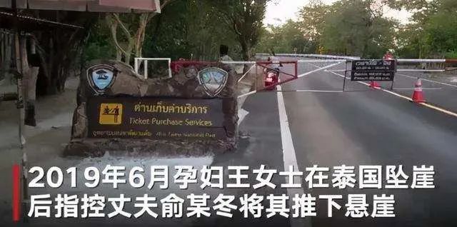 中国孕妇泰国坠崖案改判杀妻骗保只判10年背后真相是什么