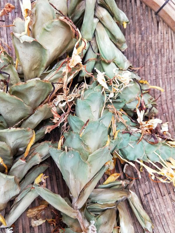 你没见过的贵州四怪之一带你了解贵州草果的用途全身是宝