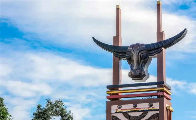 特色十足,房屋墙体都能寻到牛头,木鼓,崖画等佤族文化元素