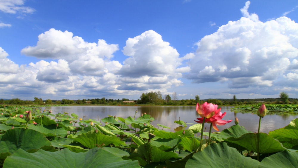 驴友们的最爱要属丰林县的小兴安岭户外运动谷了.