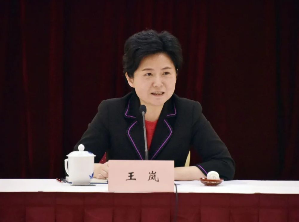 区委书记王岚与新一届民主党派区委领导集体谈心_腾讯新闻