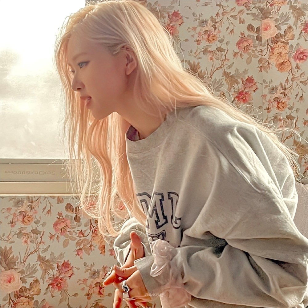 rose朴彩英壁纸洋气的罗捷女士