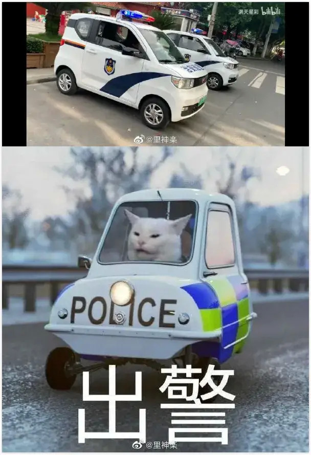 11 这警车能让人联想到一个表情包!