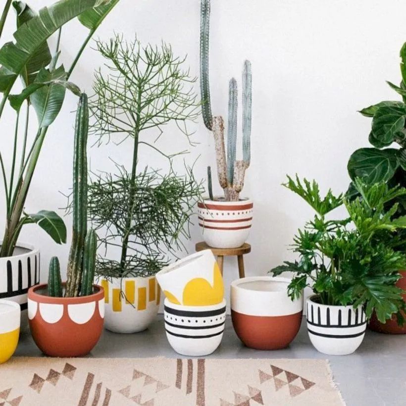 室内养花选合适材质的花盆 事半功倍 养花也会变得轻松 腾讯新闻