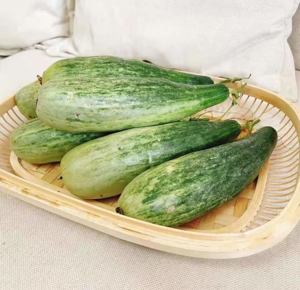 吃瓜瓜瓜瓜瓜瓜瓜瓜哇好吃