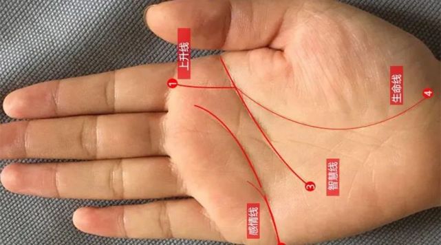 看手掌生命线长短的方法