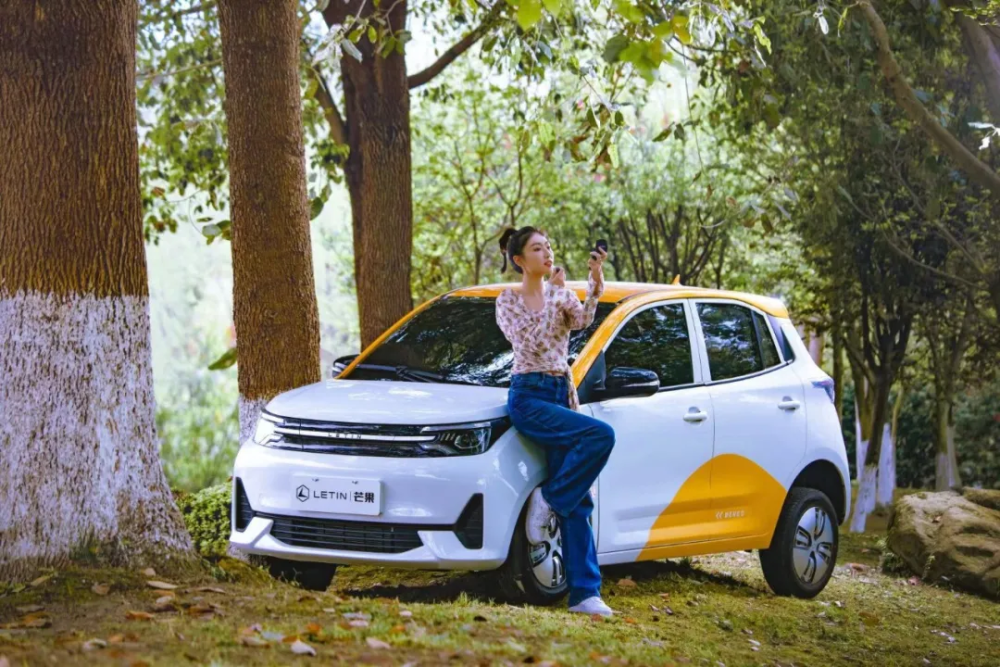 98万起售,雷丁芒果,下一个宏光mini ev?
