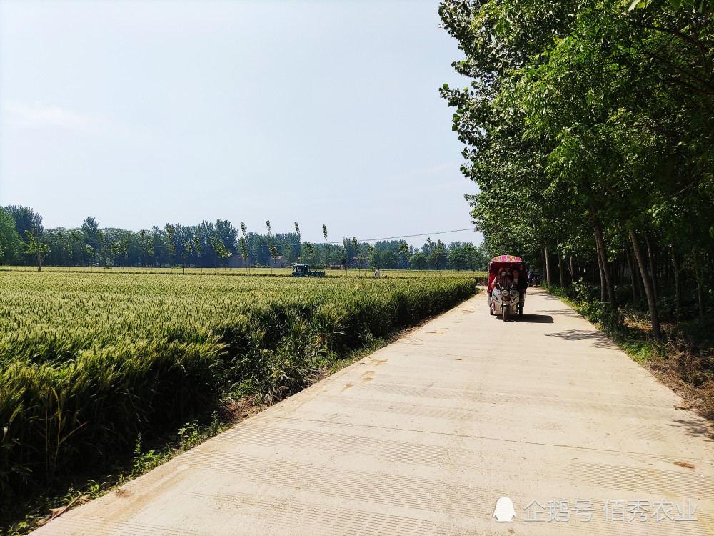 农村老家院子常年无人居住用水泥硬化地面和保留泥地哪个好