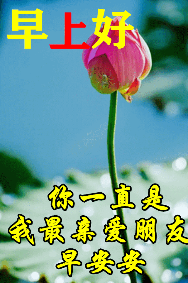5月30日最漂亮早上好动态表情图片大全,早晨好动图美图大全