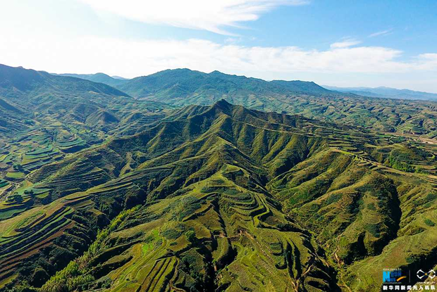 人类活动是黄土高原变绿的主导因素吗