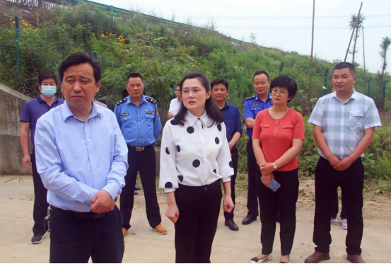 上述消息显示,杨娜已由合肥市政府办履新肥西县