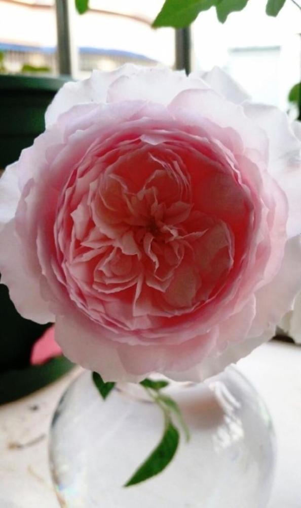 寓意深刻的励志句子 句句有内涵 读读醒悟人生 腾讯新闻