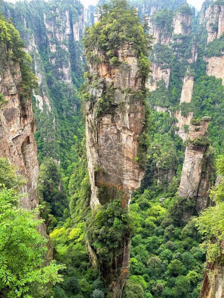 走進張家界,你就走進了《阿凡達》裡的懸浮山 